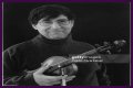 David Shapiro (musician)