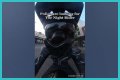 Night Rider Arrested, What Happened To Night Rider?