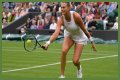 Wimbledon 2021: Aryna Sabalenka vs Karolina Pliskova Preview, Head to Head and Prediction